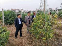 说明: 4d3cf4e7314d66fd5c15a8cefb89f0c